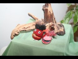 Kunstprojektwoche 2009